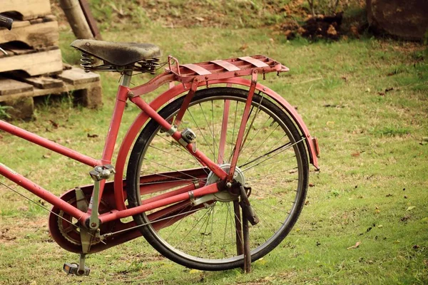 Biciclete vintage în parc — Fotografie, imagine de stoc