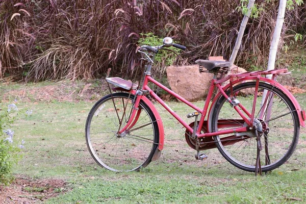 Vintage fietsen in park — Stockfoto