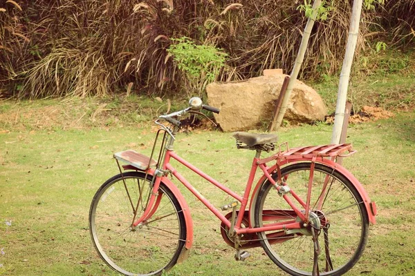 Oldtimer-Fahrräder im Park — Stockfoto
