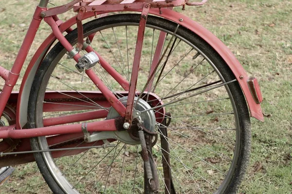 在公园里的老式自行车 — 图库照片