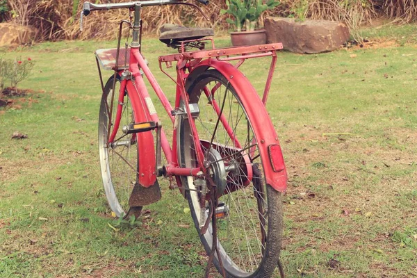 Vintage bicycles in park — Stock Photo, Image