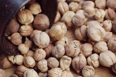 yığın kakule ot baharatlı