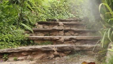 Bahçedeki merdivenler.