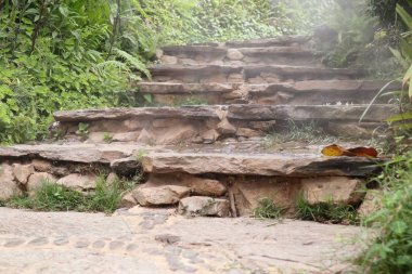 Bahçedeki merdivenler.