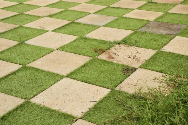 Quadratischer Betonboden mit Gras — Stockfoto