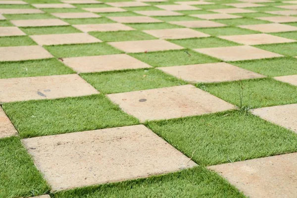 Square cement floor with grass — Stock Photo, Image