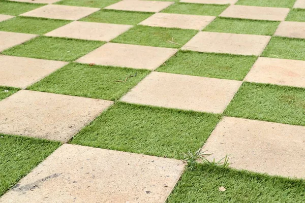 stock image square cement floor with grass