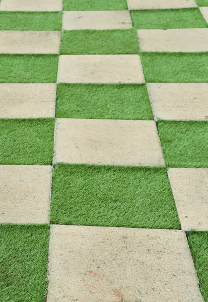 Vierkant cement vloer met gras — Stockfoto