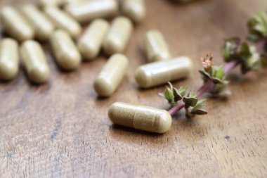 kapsül ile bitkisel fesleğen