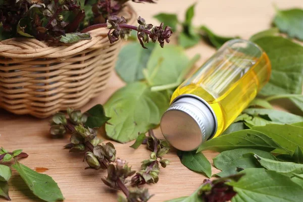 Herb basil essential oil — Stock Photo, Image