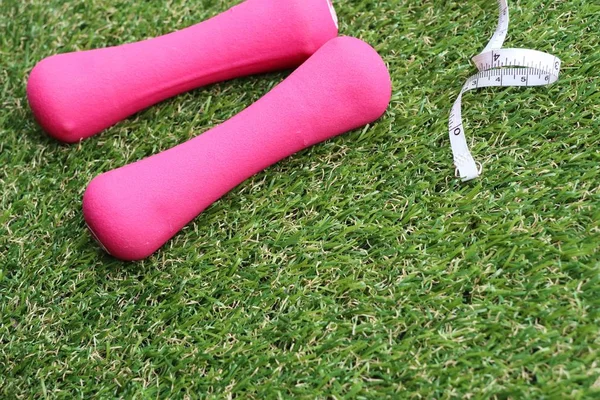 Manubrio rosa sull'erba — Foto Stock