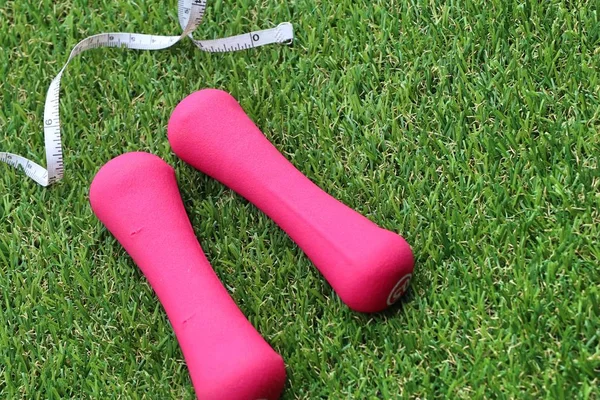 Pink dumbbell on grass — Stock Photo, Image