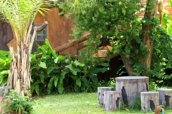 Table and chair in garden — Stock Photo, Image