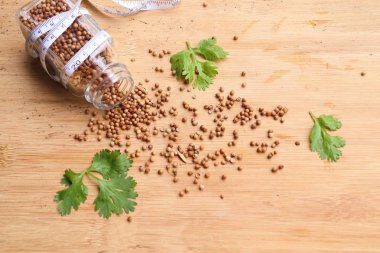 Taze kişniş tohumu