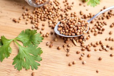 Taze kişniş tohumu