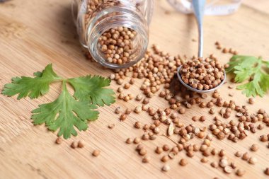 Taze kişniş tohumu