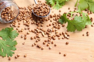 Taze kişniş tohumu