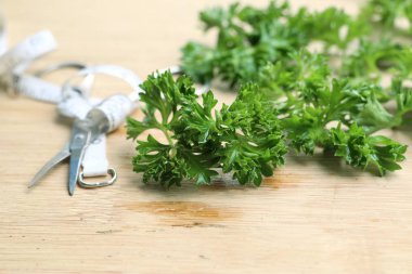 Maydanoz yaprakları ile taze