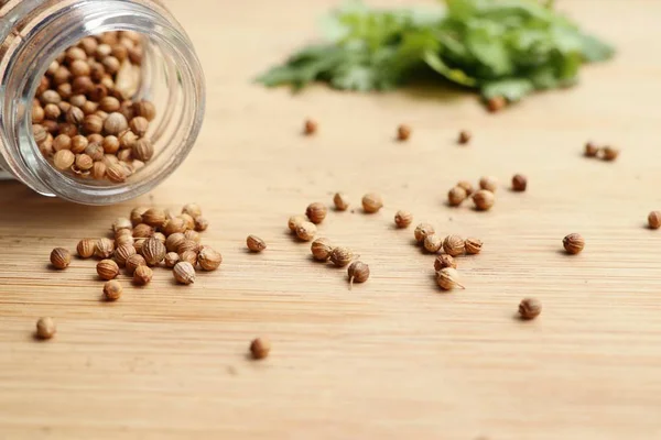 Taze kişniş tohumu