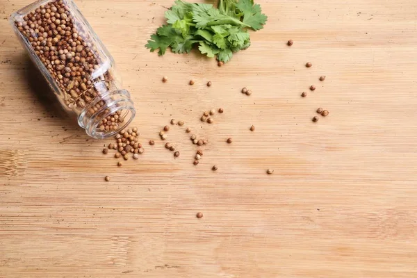 Taze kişniş tohumu