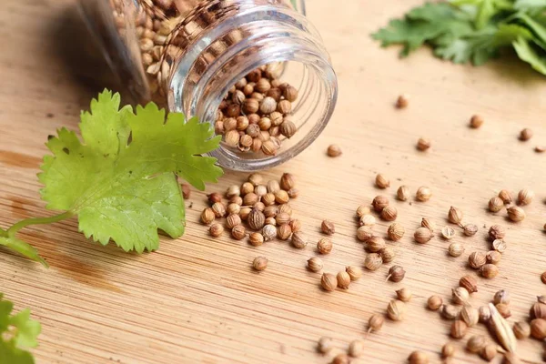 Taze kişniş tohumu