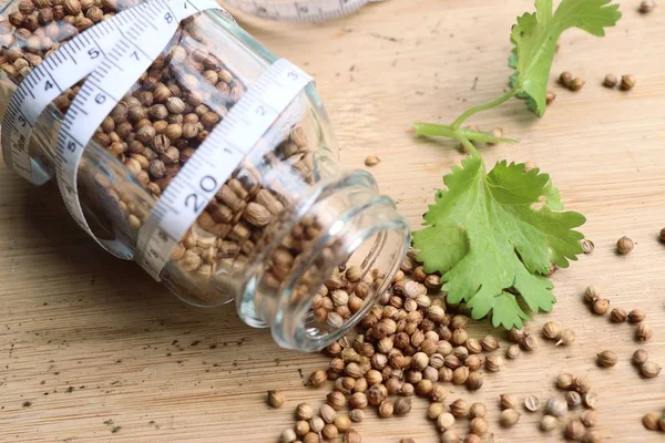 Taze kişniş tohumu