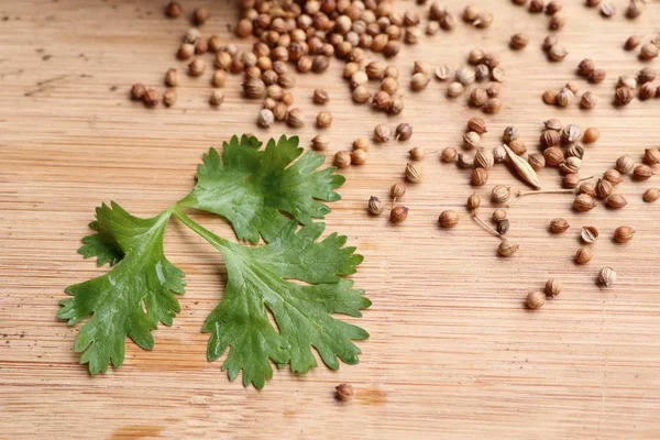 Taze kişniş tohumu