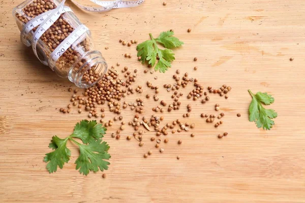 Taze kişniş tohumu