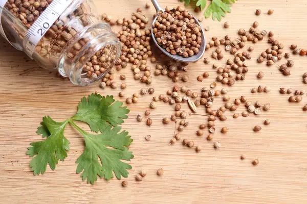 Taze kişniş tohumu