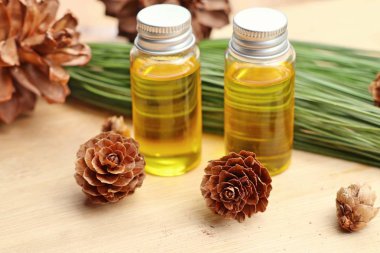 temel çam yağı ve koni