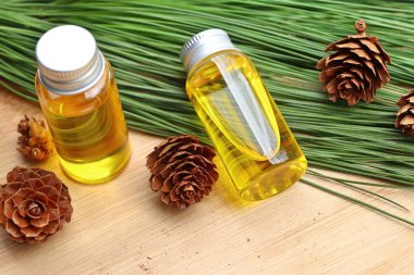 temel çam yağı ve koni