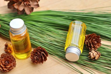 temel çam yağı ve koni