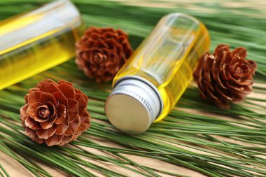 temel çam yağı ve koni