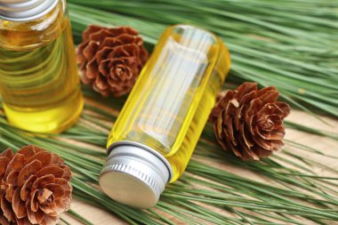 temel çam yağı ve koni