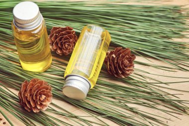 temel çam yağı ve koni