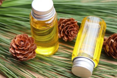 temel çam yağı ve koni