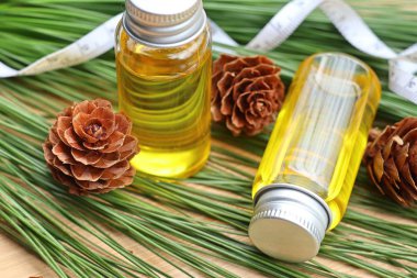 temel çam yağı ve koni