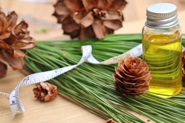 temel çam yağı ve koni