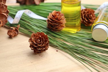 temel çam yağı ve koni