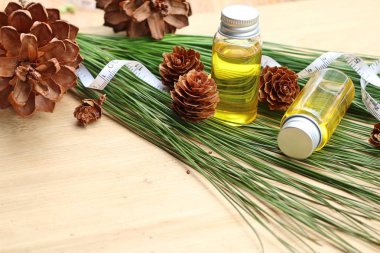 temel çam yağı ve koni