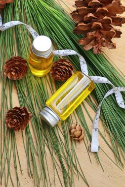 temel çam yağı ve koni