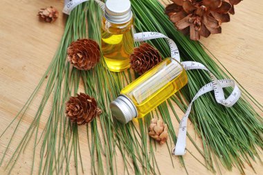 temel çam yağı ve koni