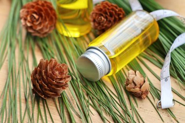 temel çam yağı ve koni