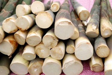 sokak yol bambu çekimi