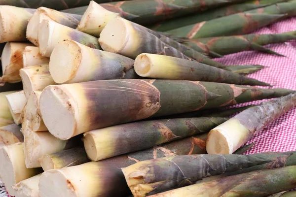 Tiro de bambu na estrada de rua — Fotografia de Stock