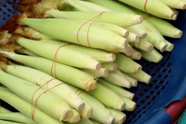 Market genç Mısır