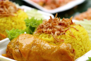 tavuk biryani pirinç