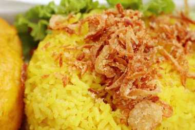 tavuk biryani pirinç