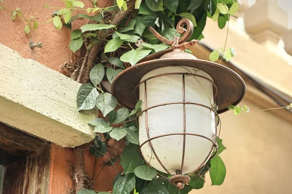 Nástěnná lampa v zahradě — Stock fotografie