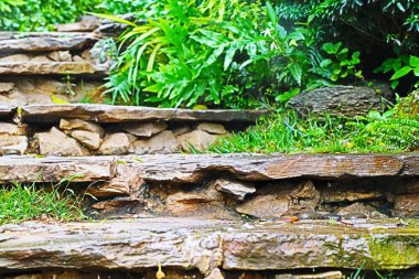 Bahçedeki merdivenler.